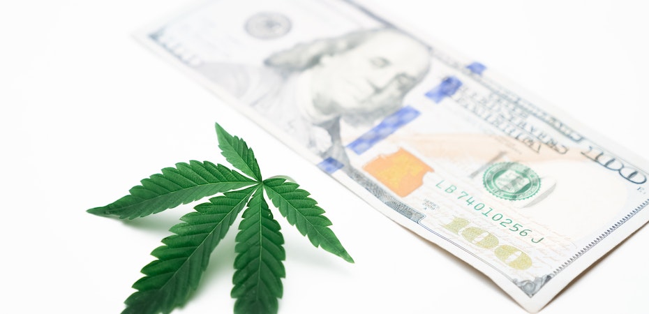 cannabis